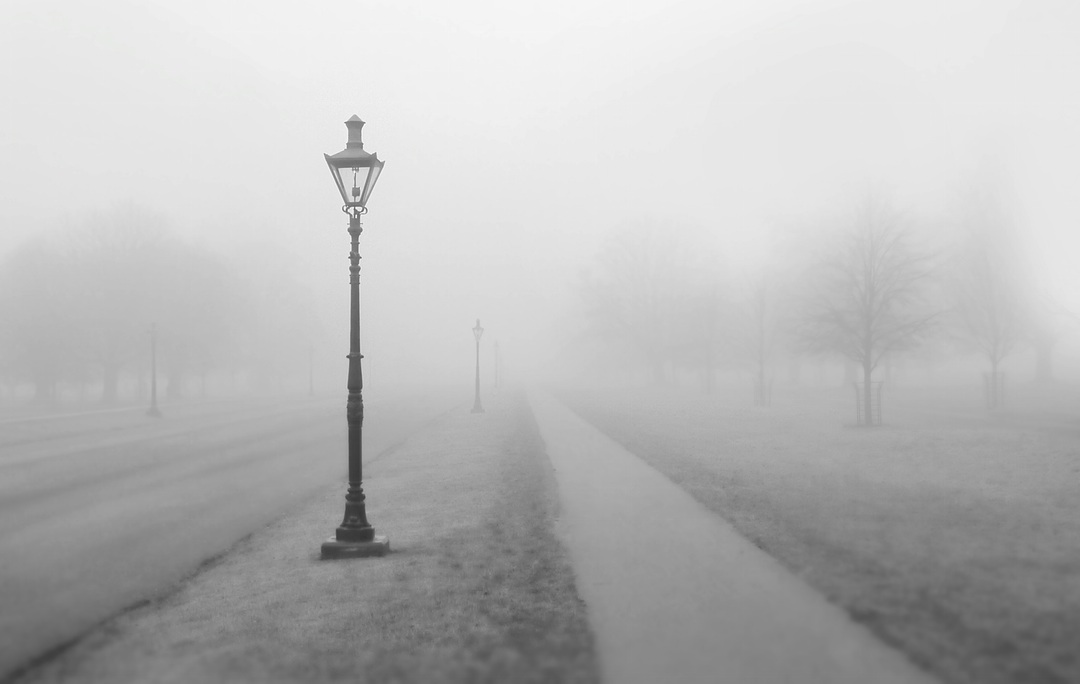 Street lamp on a foggy path